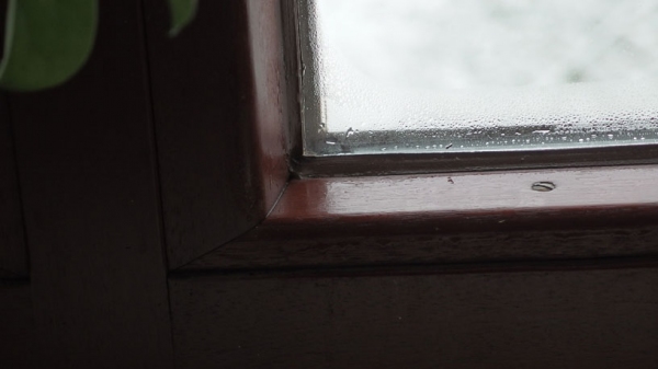 Fenster Kondenswasser - Hausmittel & Tipps