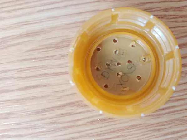Für die selbstgemachte Ballbrause werden in den Deckel der Plastikflasche kleine Löcher gebohrt. Für die selbstgemachte Ballbrause werden in den Deckel der Plastikflasche kleine Löcher gebohrt.