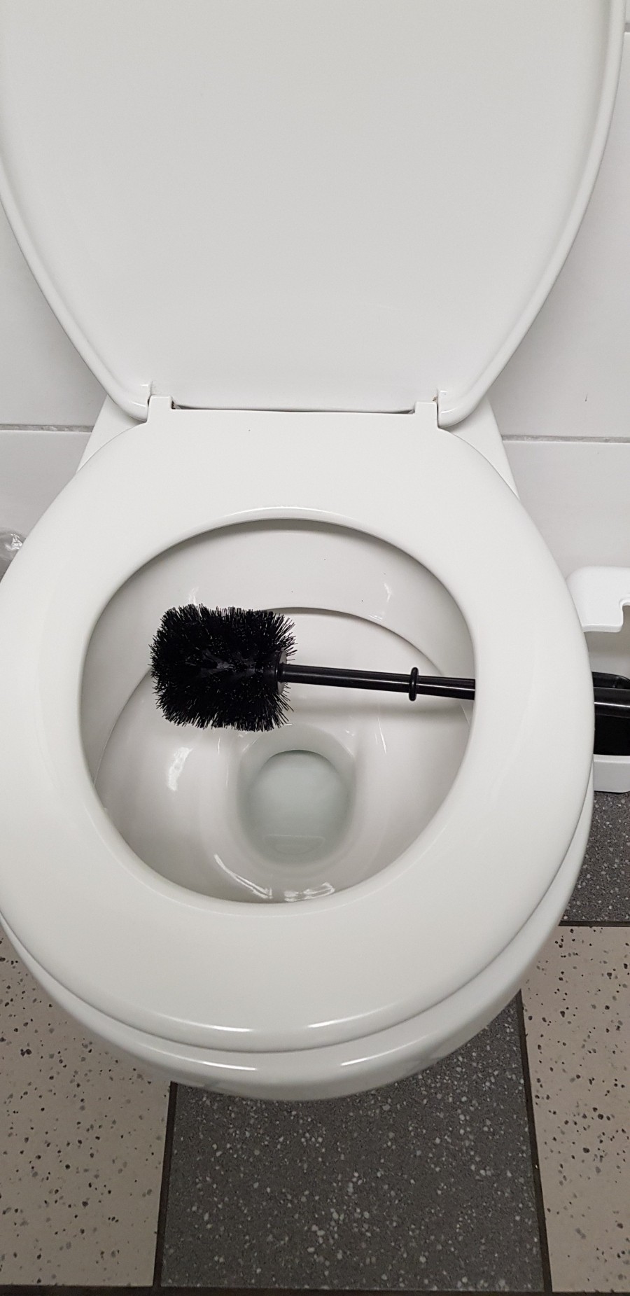 Toilettenbürste desinfizieren | Mutti Frag