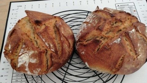 Zwei goldbraune Sauerteigbrote liegen auf einem Backmatte, mit schöner Kruste und Schnittmustern, bereit zum Servieren.