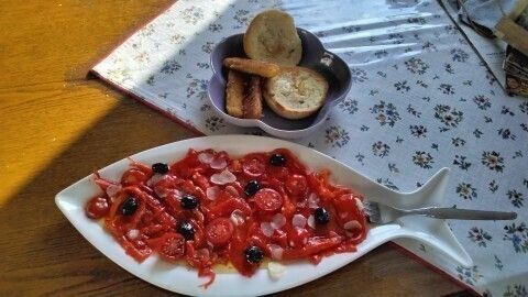 Ein großer, weißer Fisch-Teller präsentiert reichlich Antipasti in rot und schwarz, umgeben von Brot auf einem gemusterten Tisch.