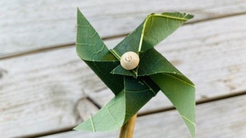 Ein Windrad aus Blättern steht auf einem Stock und dreht sich leicht im Wind auf einer Holzoberfläche.