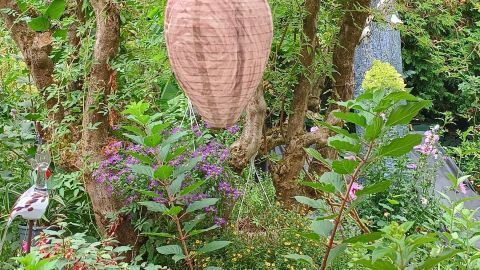 Wespen vertreiben mit Nest-Attrappe