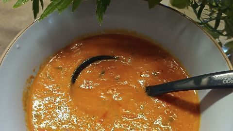 Tomatensoße frisch aus dem Garten