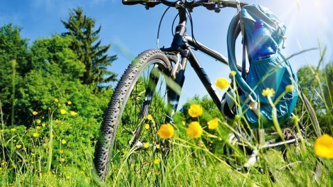 Ein Fahrrad steht auf einer blühenden Wiese, mit einer blauen Wasserflasche im Rucksack. Die Sonne scheint bei klarem Himmel.