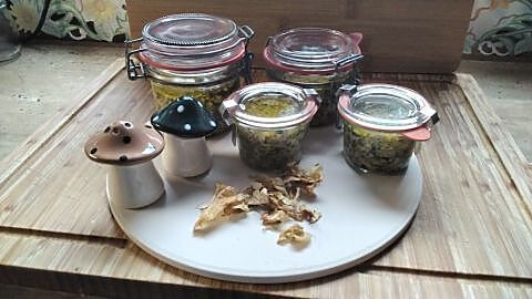 Gläser mit Steinpilz-Pesto stehen auf einem Holzbrett, umgeben von getrockneten Pilzen und kleinen Pilzen.