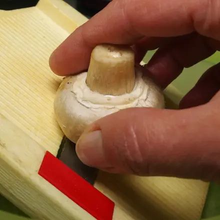 Champignon schnell fein schneiden