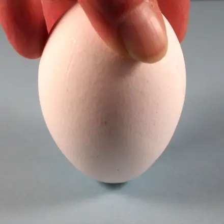 Eier richtig lagern