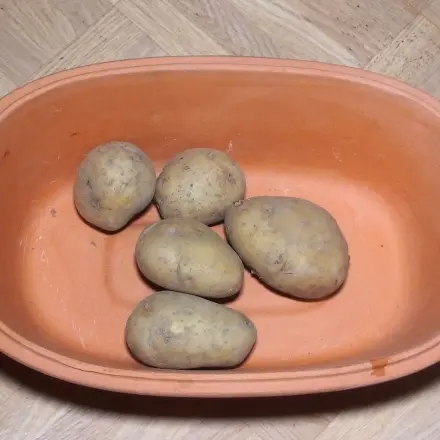 Kartoffeln ohne Wasser kochen - im Römertopf