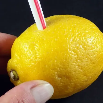 Zitronen: nur ein Spritzer Zitronensaft