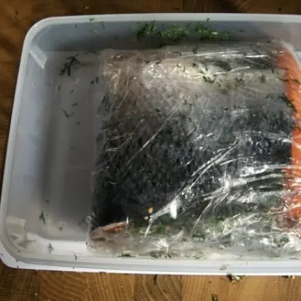 Graved Lachs platzsparend im Kühlschrank herstellen