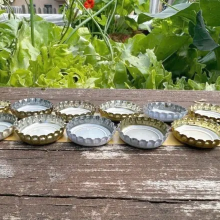 Nacktschnecken erfolgreich abwehren